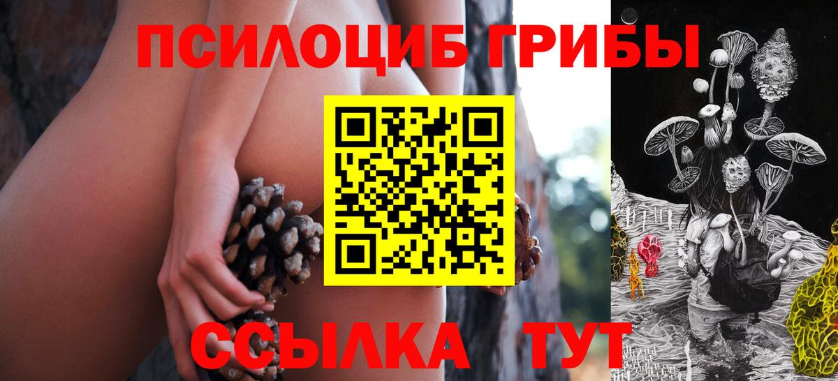 Псилоцибиновые грибы Cubensis  где можно купить наркотик  Вход с VPN  Ипатово  Псилоцибиновые грибы GOLDEN TEACHER 
